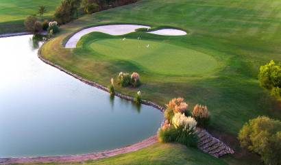 Nieuwbouw projecten - Villa - Pilar de la Horadada