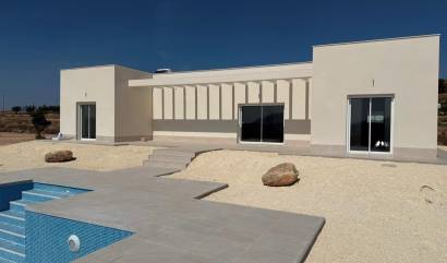 Nieuwbouw projecten - Villa - Pinoso - Camino Del Prado