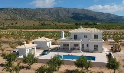 Nieuwbouw projecten - Villa - Pinoso - Camino Del Prado