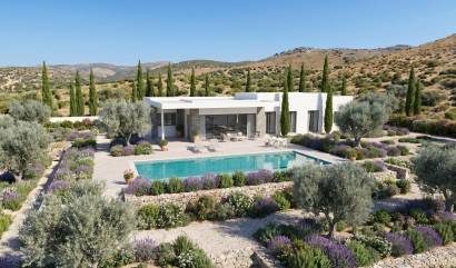 Nieuwbouw projecten - Villa - Pinoso - Casas Pastor