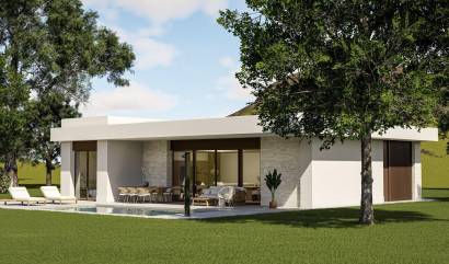 Nieuwbouw projecten - Villa - Pinoso - Lel