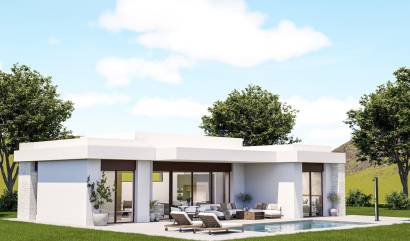 Nieuwbouw projecten - Villa - Pinoso - Lel