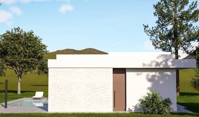 Nieuwbouw projecten - Villa - Pinoso - Lel