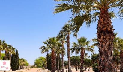 Nieuwbouw projecten - Villa - San Fulgencio - La Escuera