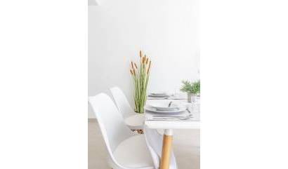 Nieuwbouw projecten - Villa - San Javier - Parque de los leones