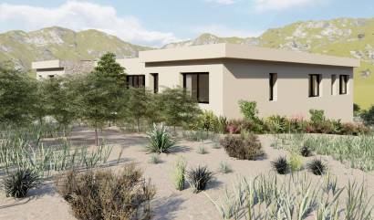 Nieuwbouw projecten - Villa - Yecla