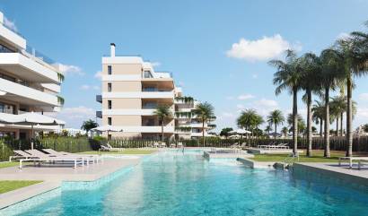 Nouvelle construction - Apartment - Torre Pacheco - Santa Rosalía
