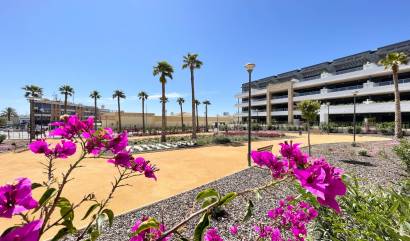 Nouvelle construction - Attique - Orihuela - Playa Flamenca