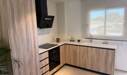 Nouvelle construction - Maison de ville - Pilar de la Horadada - pueblo