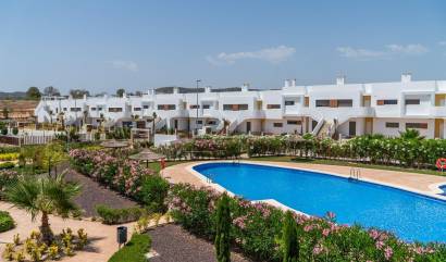 Nouvelle construction -  - Orihuela