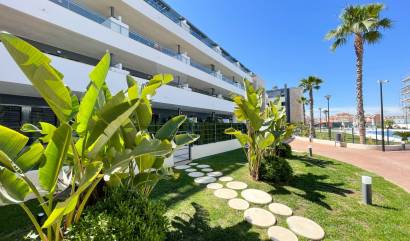 Nouvelle construction - Penthouse - Orihuela - Playa Flamenca