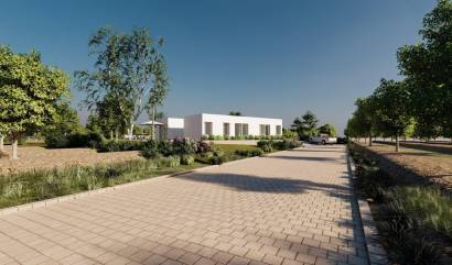 Nouvelle construction - Villa - Benejúzar - alta
