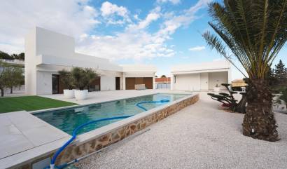 Nouvelle construction - Villa - Benejúzar - alta