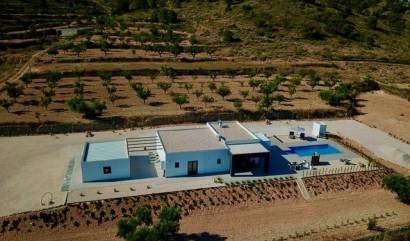 Nouvelle construction - Villa - Jumilla - Torre del Rico