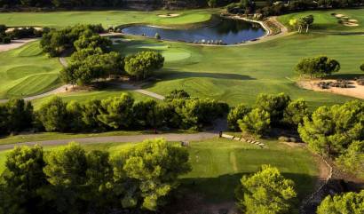 Nouvelle construction - Villa - Pilar de la Horadada