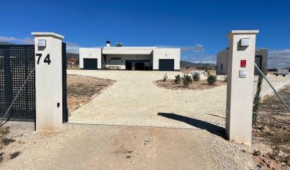 Nouvelle construction - Villa - Pinoso - Camino Del Prado