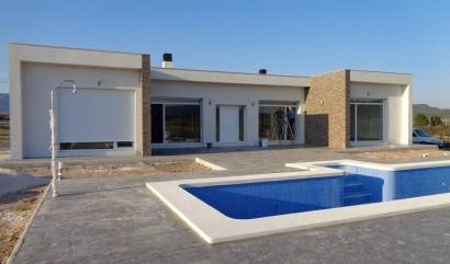 Nouvelle construction - Villa - Pinoso - Camino Del Prado