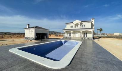 Nouvelle construction - Villa - Pinoso - Camino Del Prado