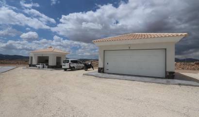 Nouvelle construction - Villa - Pinoso - Camino Del Prado