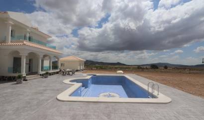 Nouvelle construction - Villa - Pinoso - Camino Del Prado