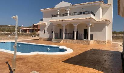 Nouvelle construction - Villa - Pinoso - Camino Del Prado