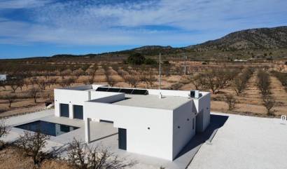 Nouvelle construction - Villa - Pinoso - Campo