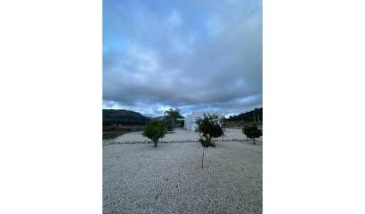 Nouvelle construction - Villa - Pinoso - Casas Pastor