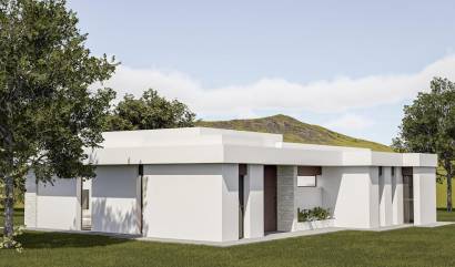 Nouvelle construction - Villa - Pinoso - Lel