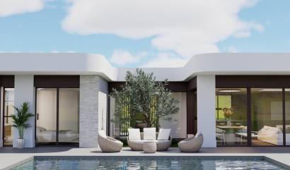 Nouvelle construction - Villa - Pinoso - Lel