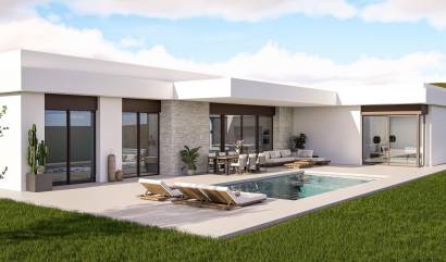 Nouvelle construction - Villa - Pinoso - Lel