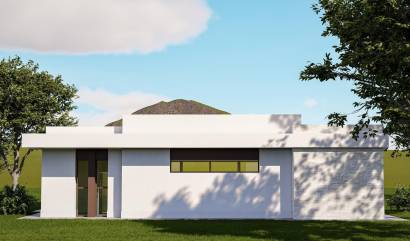 Nouvelle construction - Villa - Pinoso - Lel