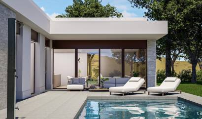 Nouvelle construction - Villa - Pinoso - Lel
