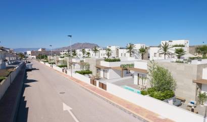 Nouvelle construction - Villa - Puerto De Mazarron - Caleñares