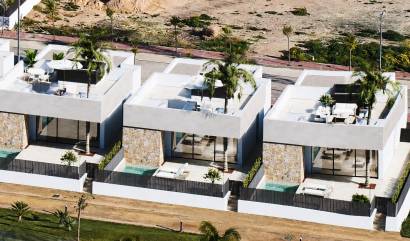 Nouvelle construction - Villa - Torre Pacheco - Santa Rosalía
