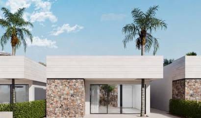 Nouvelle construction - Villa - Torre Pacheco - Santa Rosalía