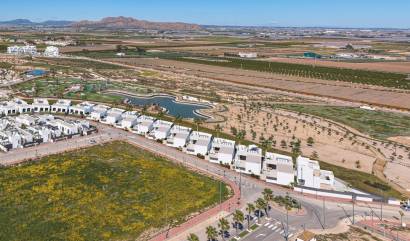 Nouvelle construction - Villa - Torre Pacheco - Santa Rosalía