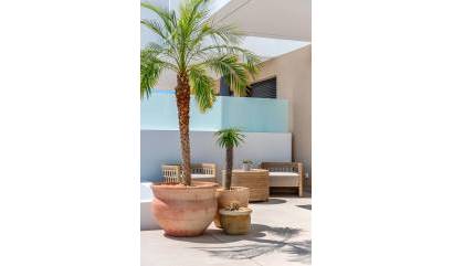 Nueva construcción  - Adosado - Dolores - Sector 3