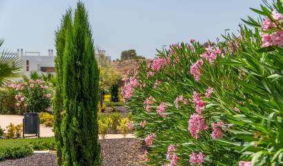 Nueva construcción  - Adosado - Orihuela
