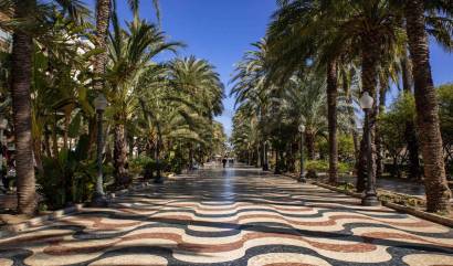 Nueva construcción  - Apartment - Alicante - Center