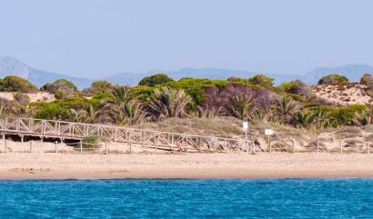 Nueva construcción  - Apartment - Guardamar del Segura - Pueblo
