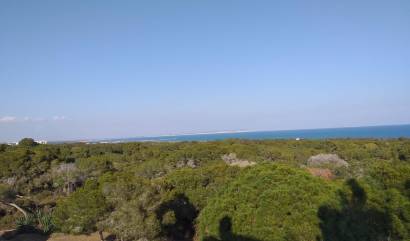 Nueva construcción  - Apartment - Guardamar del Segura - Pueblo