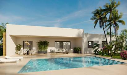 Nueva construcción  - Villa - Aspe - Poligono 19