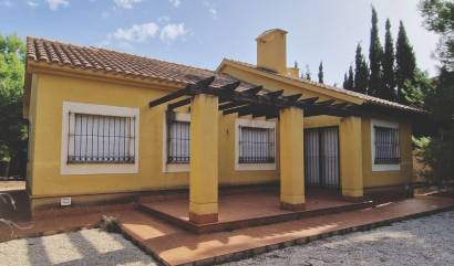 Nueva construcción  - Villa - Fuente Alamo - Las Palas