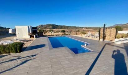 Nueva construcción  - Villa - Jumilla - Torre del Rico