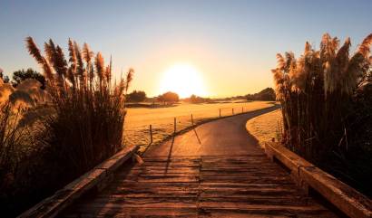 Nueva construcción  - Villa - Pilar de la Horadada