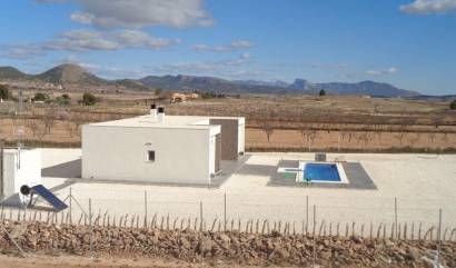 Nueva construcción  - Villa - Pinoso - Camino Del Prado