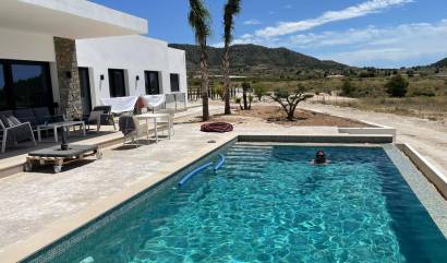 Nueva construcción  - Villa - Pinoso - Casas Pastor