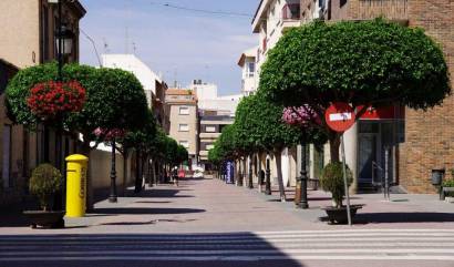 Nueva construcción  - Villa - Torre Pacheco