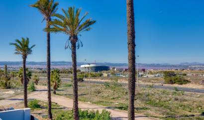 Nueva construcción  - Villa - Torrevieja - Parque Acuático - Sector 25