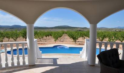 Off Plan/New Build Villa - Sale - Pinoso - INM-62196